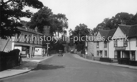 The Blue Lion Public House, Baddow Road, Great Baddow, Essex. c.1930's